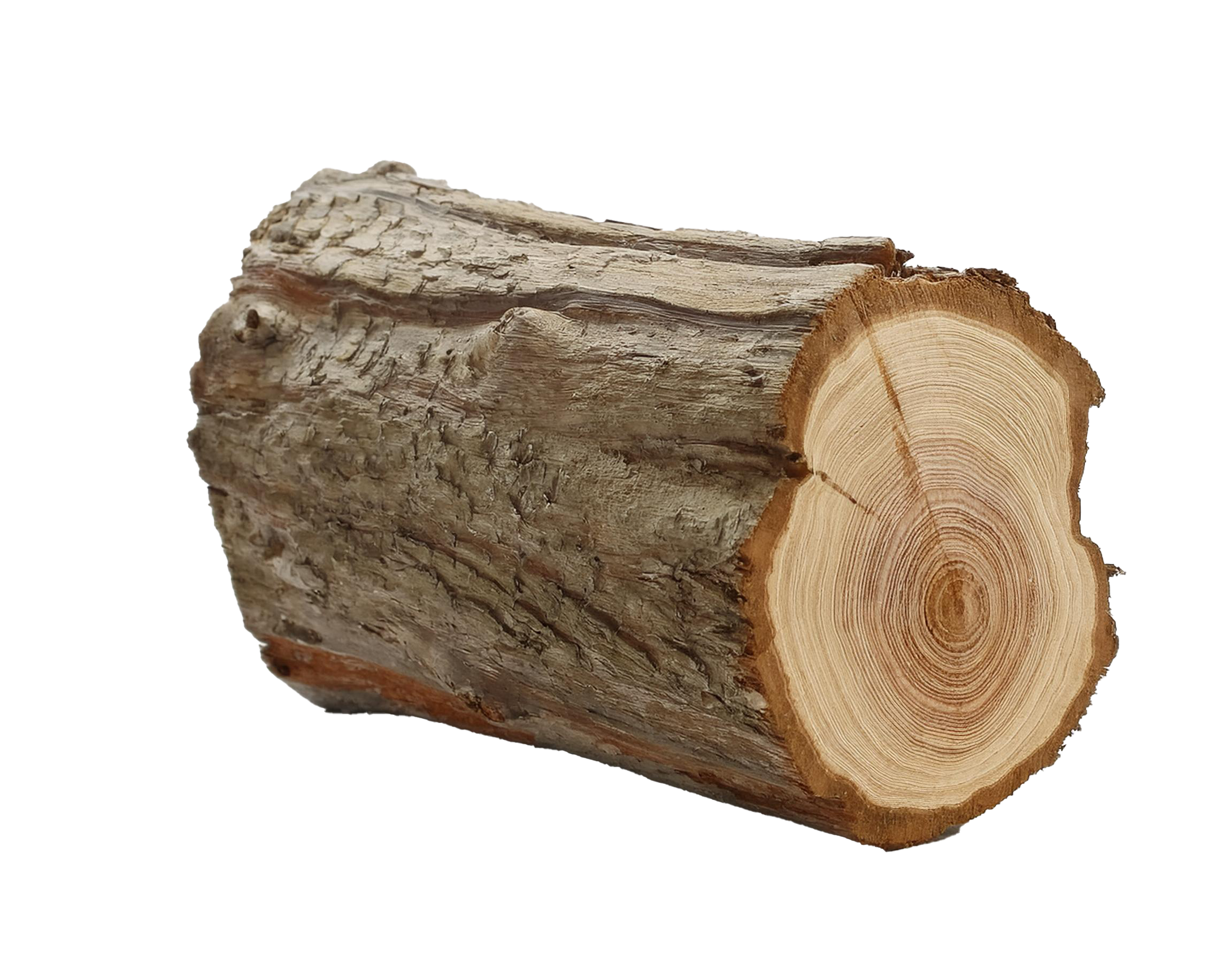 A log of wood